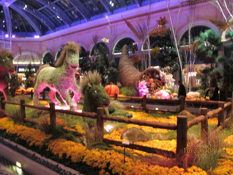 IMG_1591.JPG