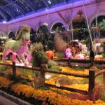 IMG_1591.JPG