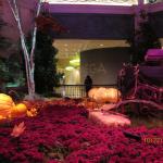 IMG_1594.JPG