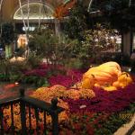 IMG_1597.JPG
