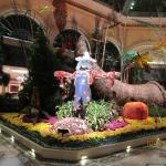IMG_1598.JPG