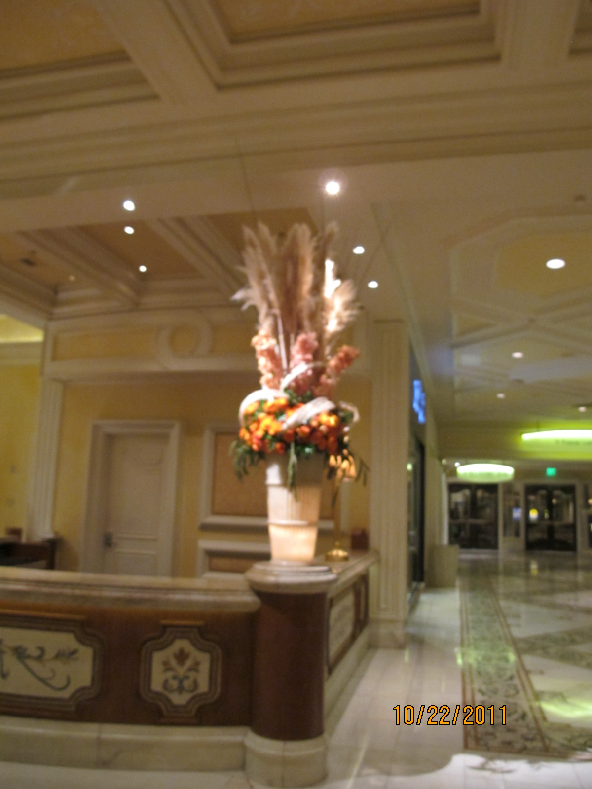 IMG_1600.JPG
