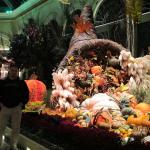 IMG_1608.JPG