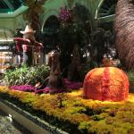 IMG_1613.JPG