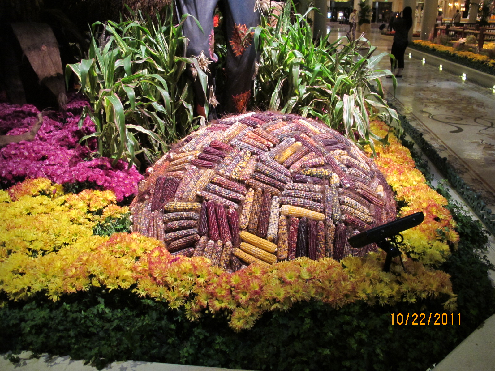 IMG_1614.JPG