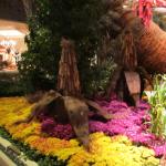 IMG_1615.JPG