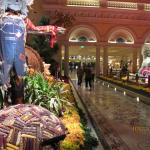 IMG_1616.JPG