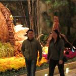 IMG_1619.JPG