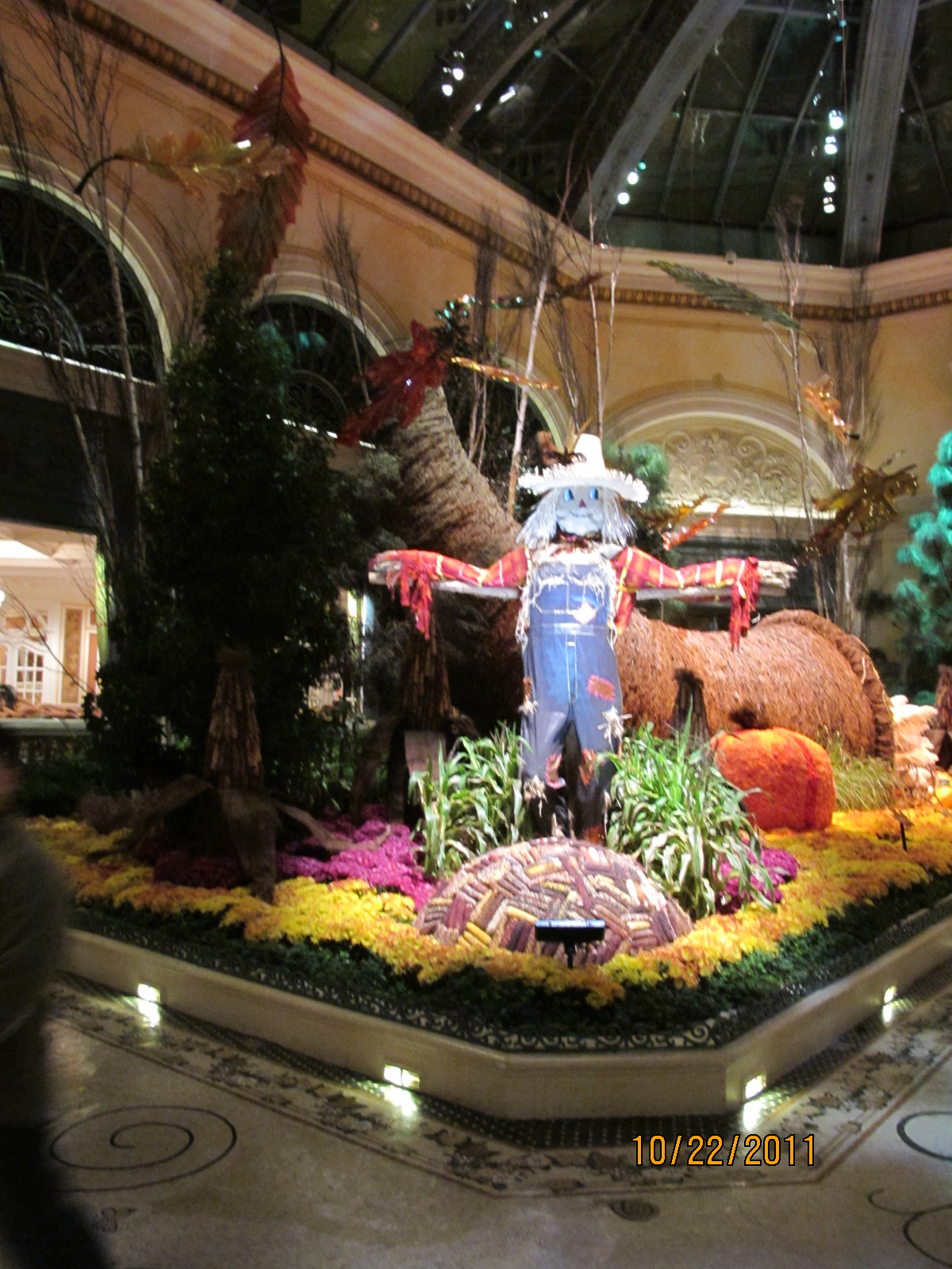 IMG_1620.JPG