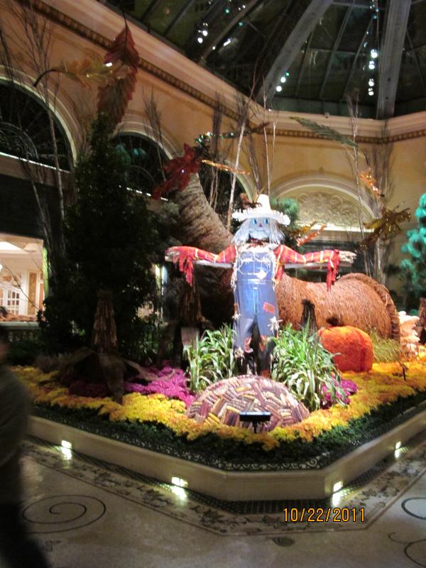 IMG_1620.JPG