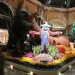 IMG_1620.JPG