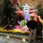 IMG_1623.JPG