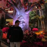 IMG_1626.JPG