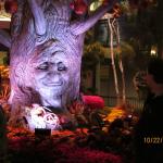IMG_1627.JPG