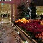 IMG_1630.JPG