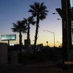 IMG_1693.JPG
