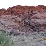 2011. 10. 22. - Red Rock Canyon