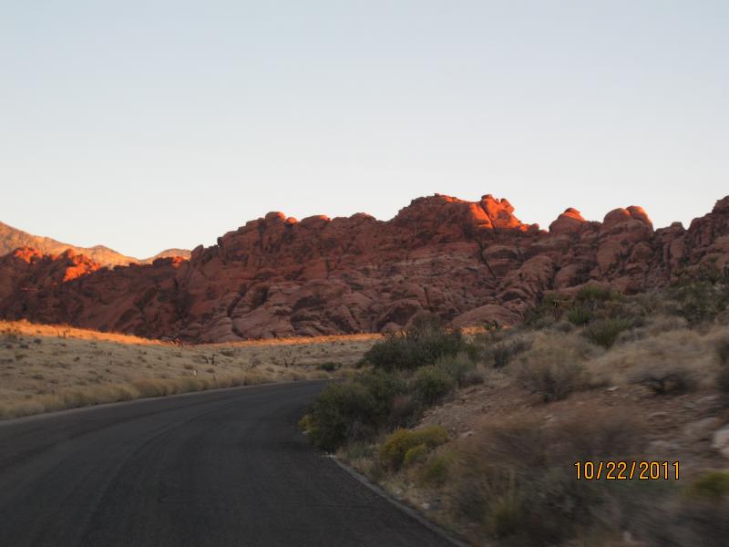 IMG_1733.JPG