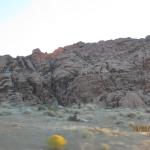 IMG_1736.JPG