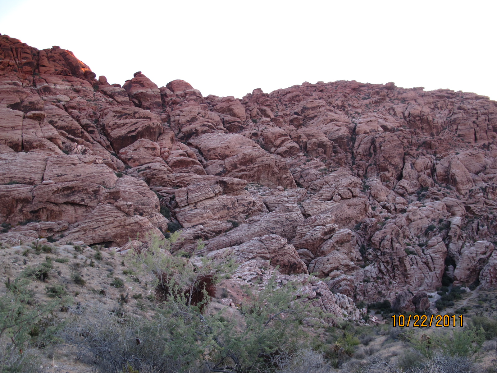 IMG_1739.JPG