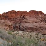 IMG_1740.JPG