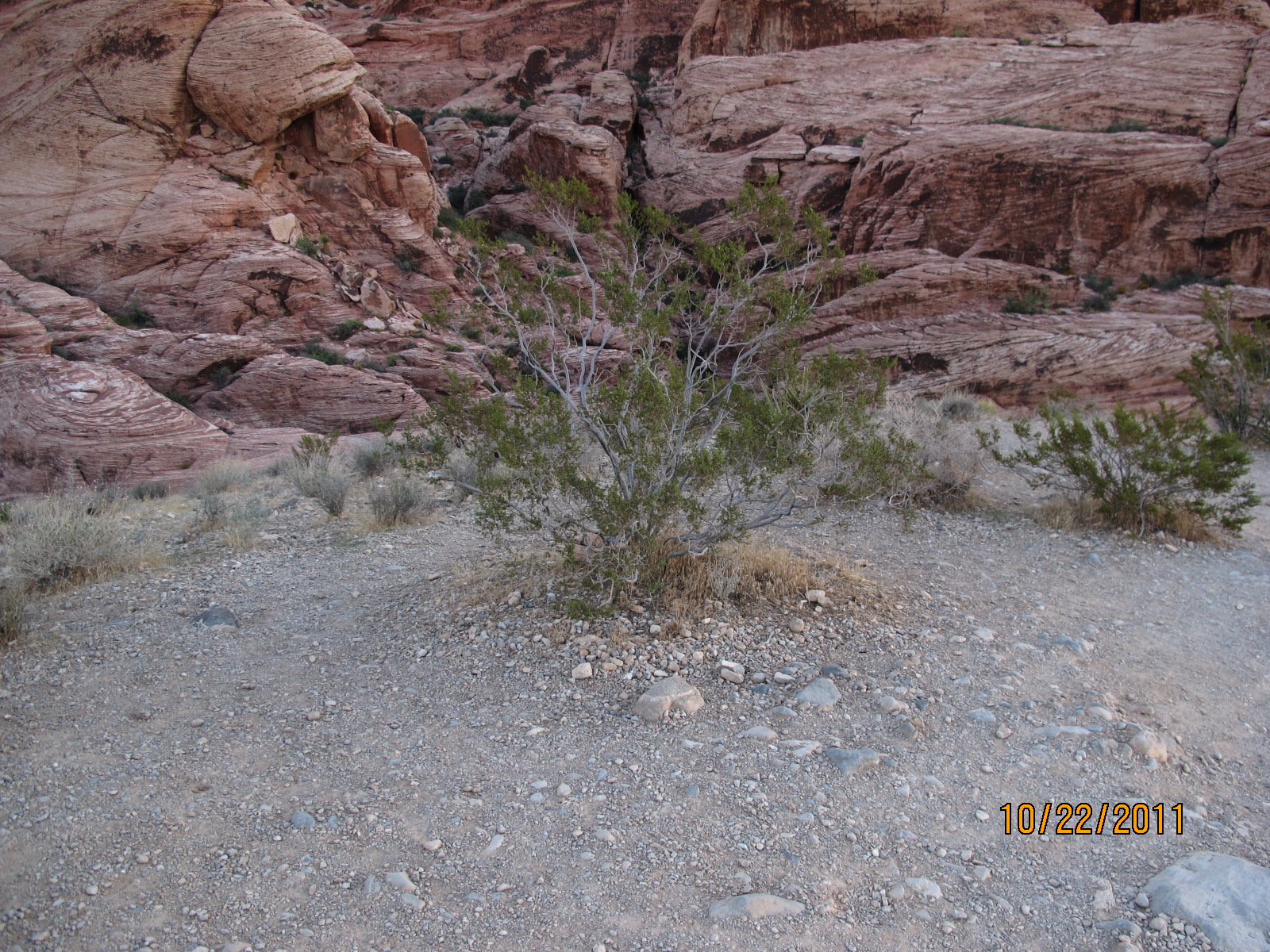 IMG_1751.JPG