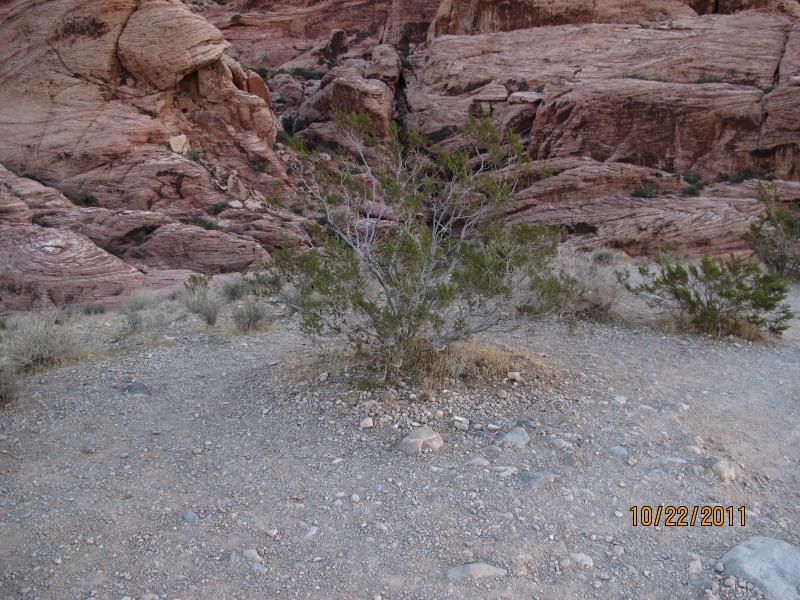 IMG_1751.JPG