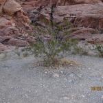 IMG_1751.JPG