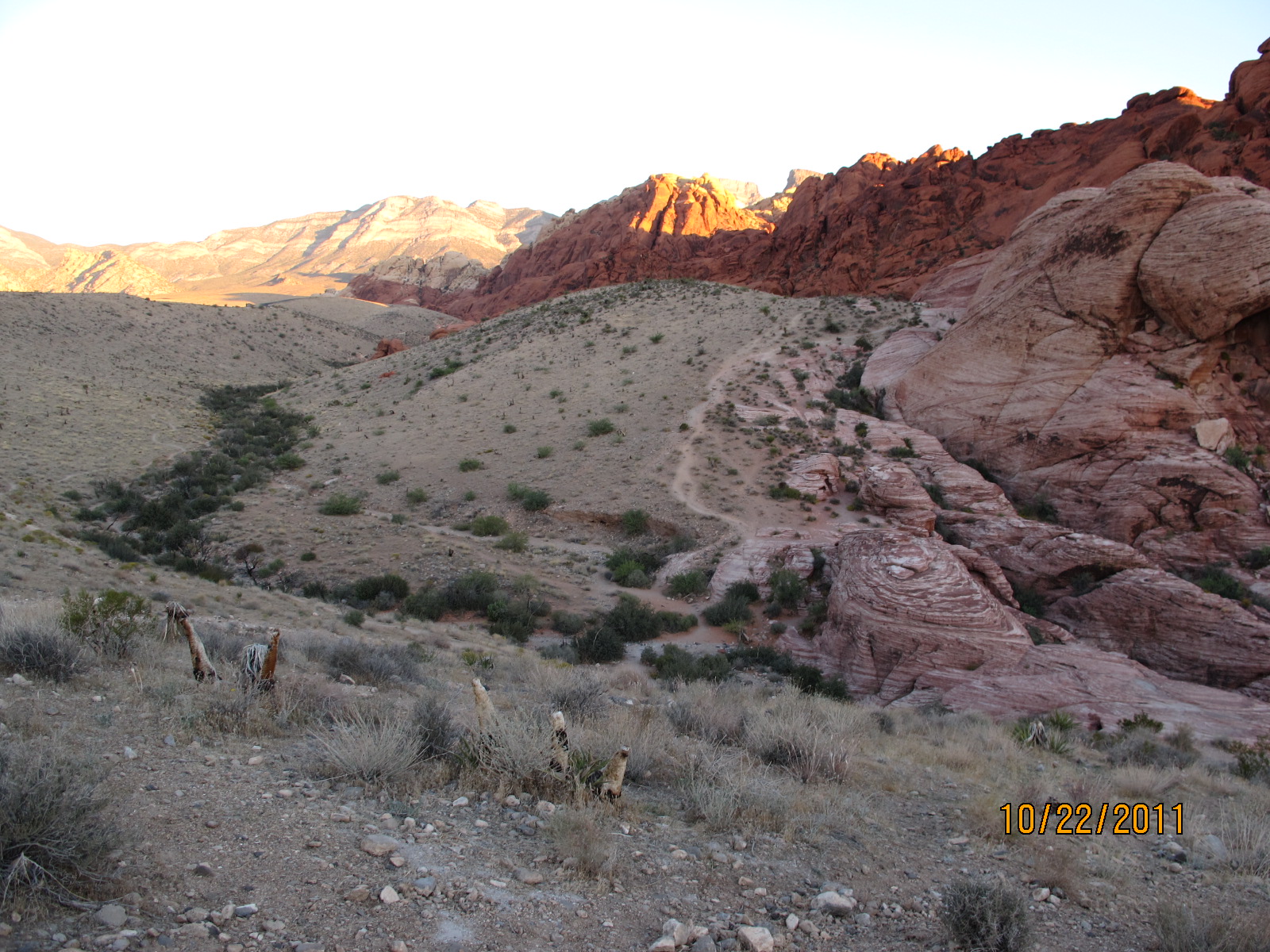 IMG_1754.JPG