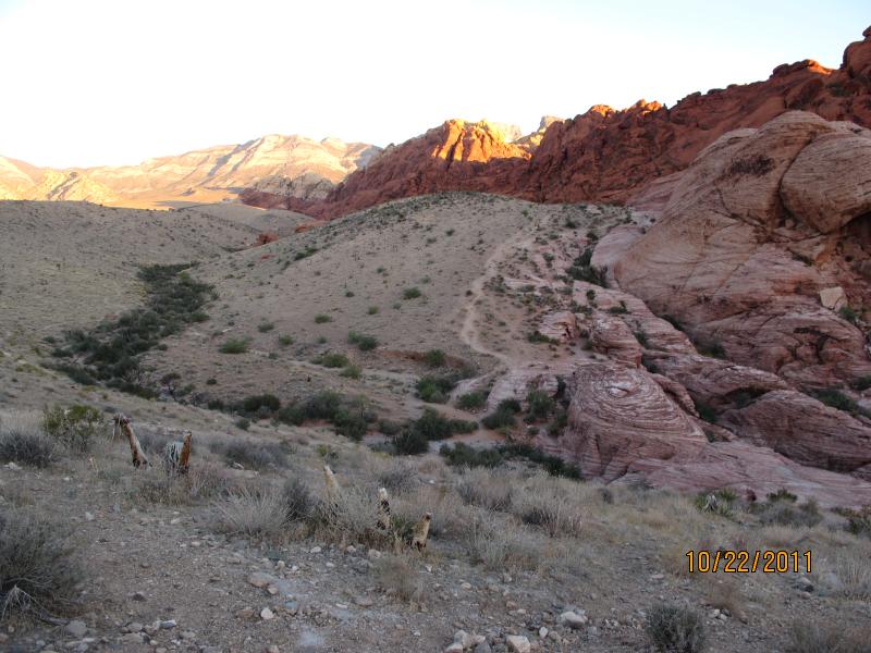 IMG_1754.JPG