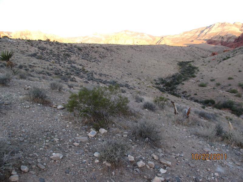 IMG_1755.JPG