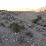 IMG_1755.JPG