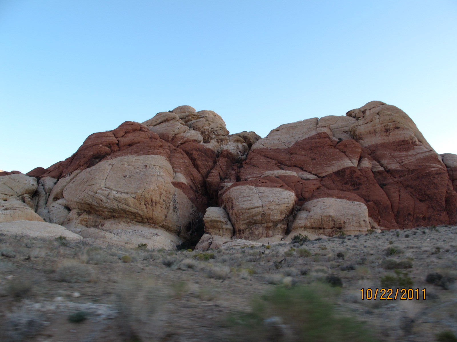 IMG_1767.JPG