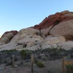 IMG_1768.JPG