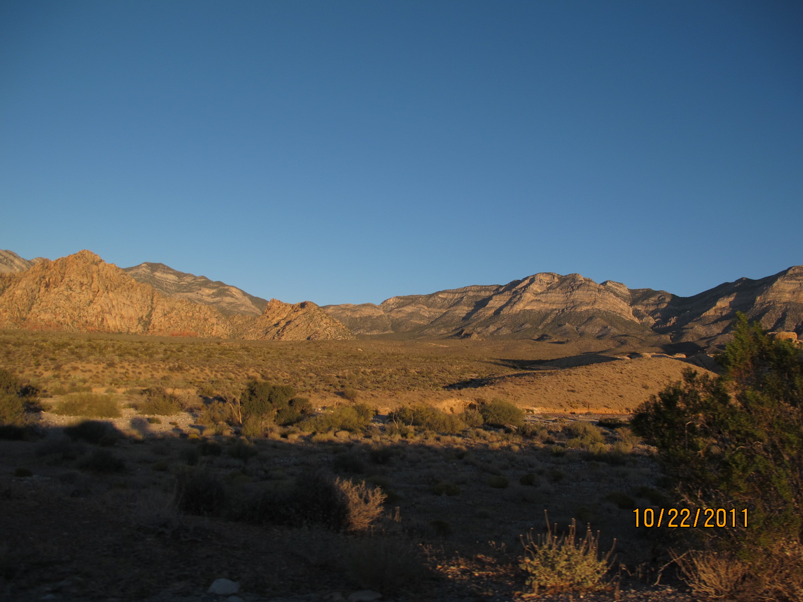 IMG_1779.JPG