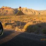 IMG_1780.JPG