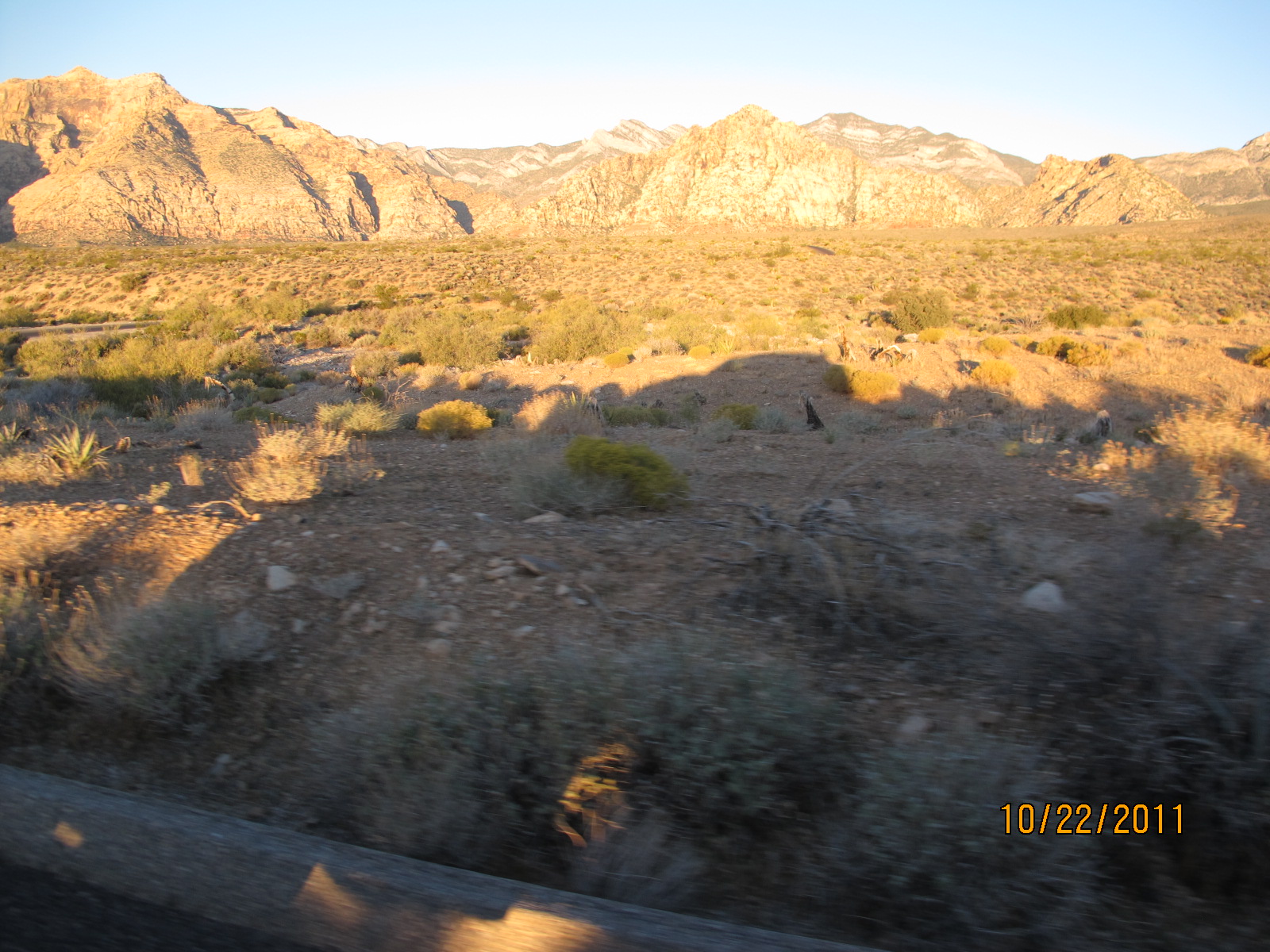 IMG_1781.JPG