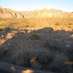 IMG_1781.JPG