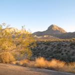 IMG_1783.JPG