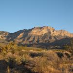 IMG_1784.JPG