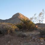 IMG_1785.JPG