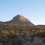 IMG_1786.JPG