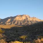 IMG_1788.JPG