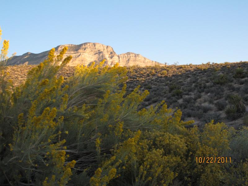 IMG_1789.JPG