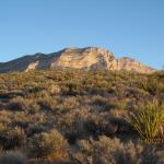 IMG_1790.JPG