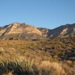 IMG_1791.JPG