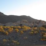 IMG_1793.JPG