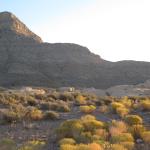 IMG_1794.JPG