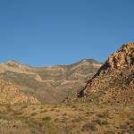 IMG_1815.JPG