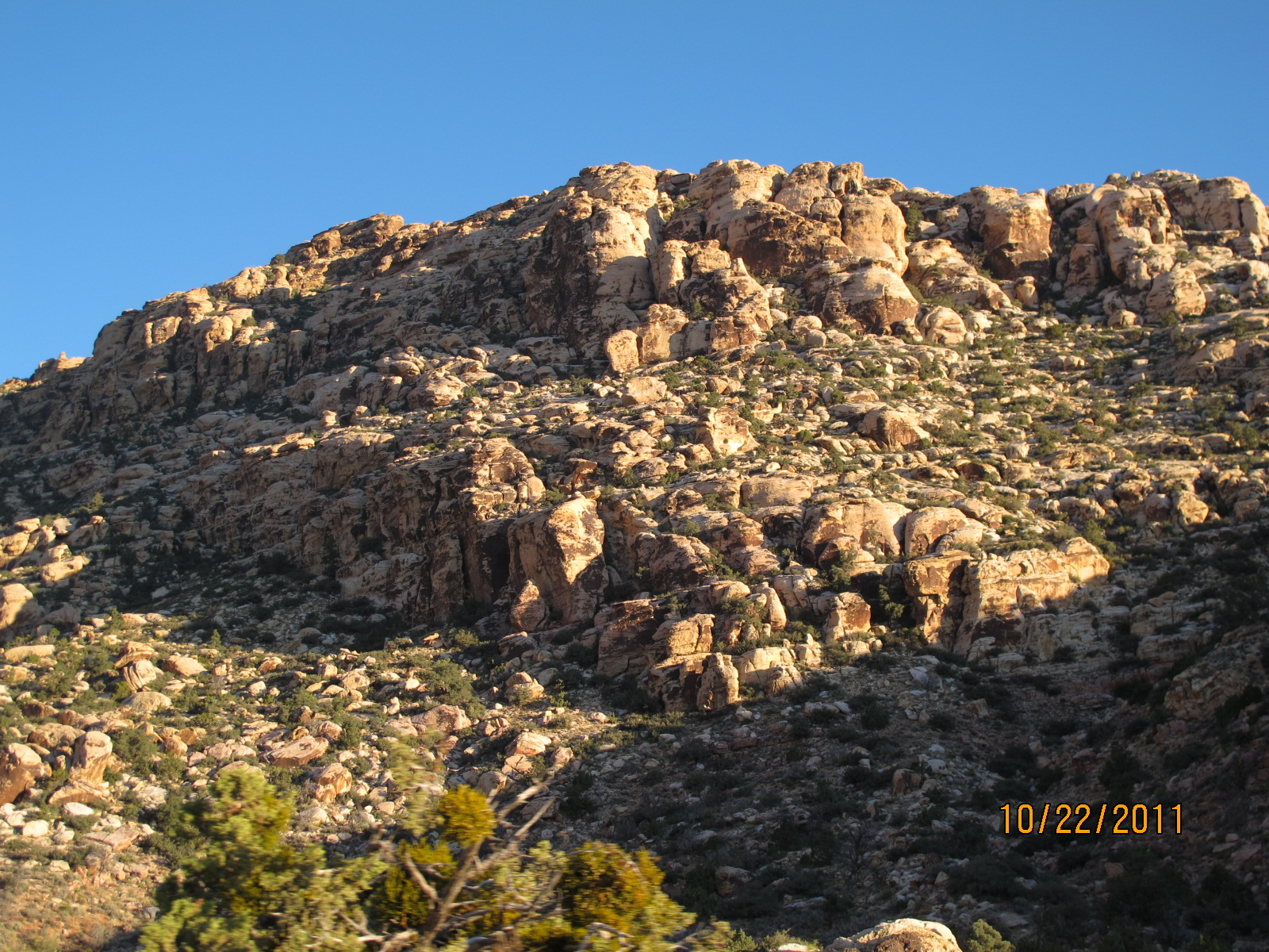 IMG_1821.JPG
